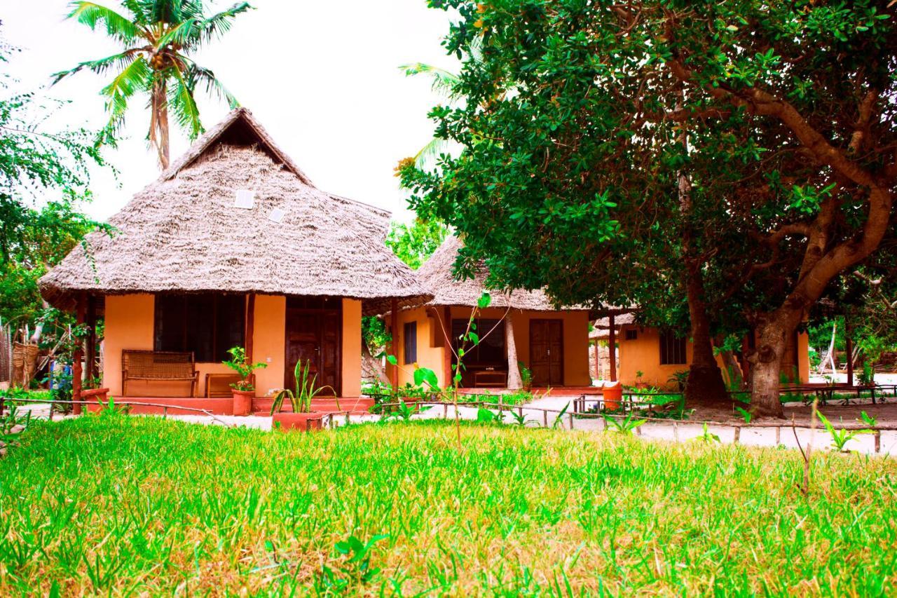 Afro Whale Shark Safari Bed & Breakfast Kilindoni Exterior foto