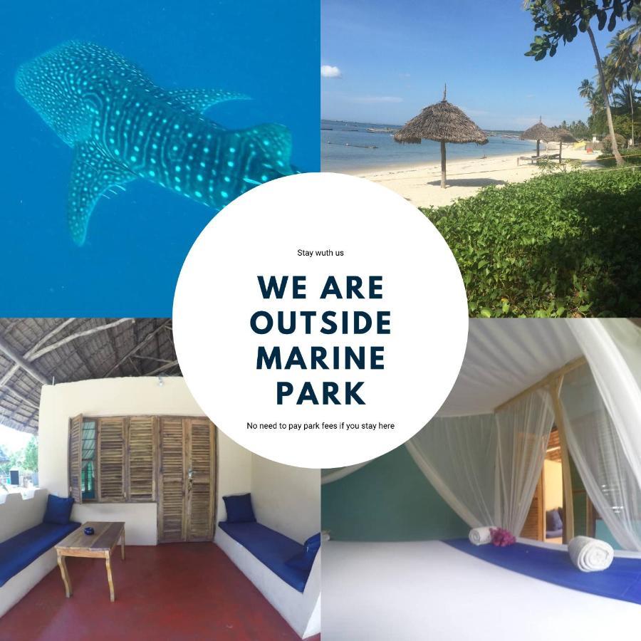 Afro Whale Shark Safari Bed & Breakfast Kilindoni Exterior foto