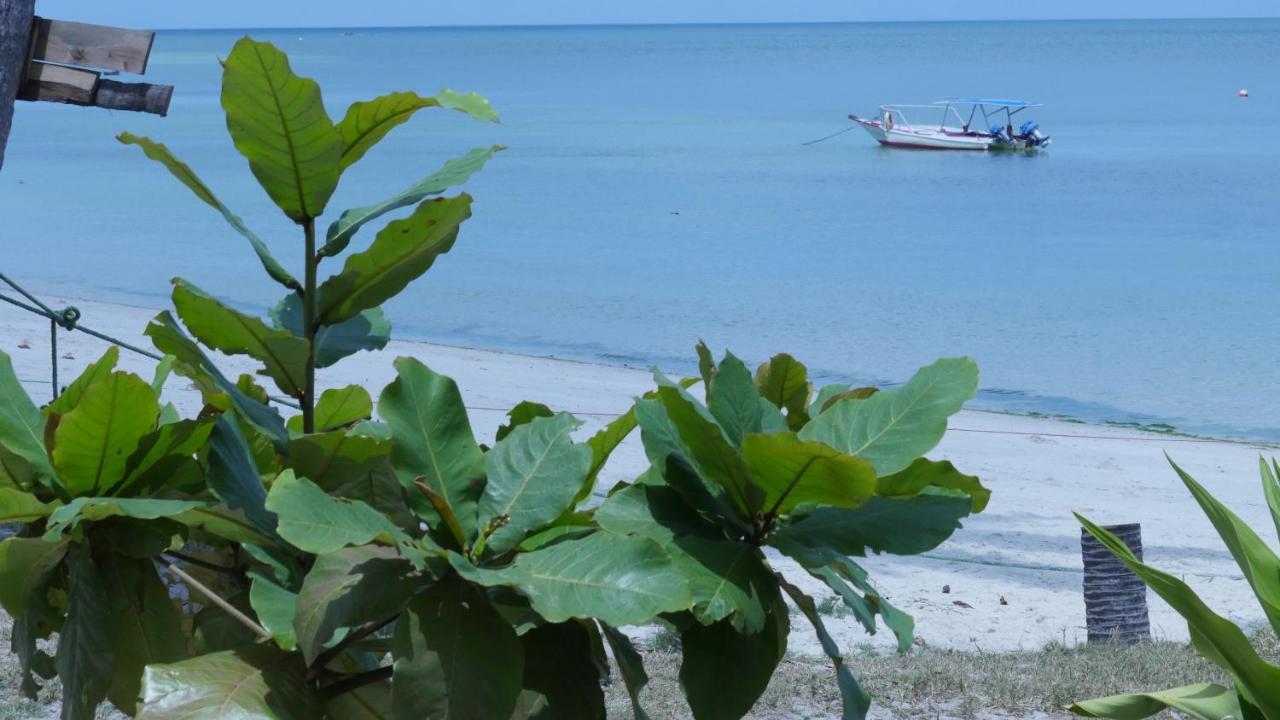 Afro Whale Shark Safari Bed & Breakfast Kilindoni Exterior foto