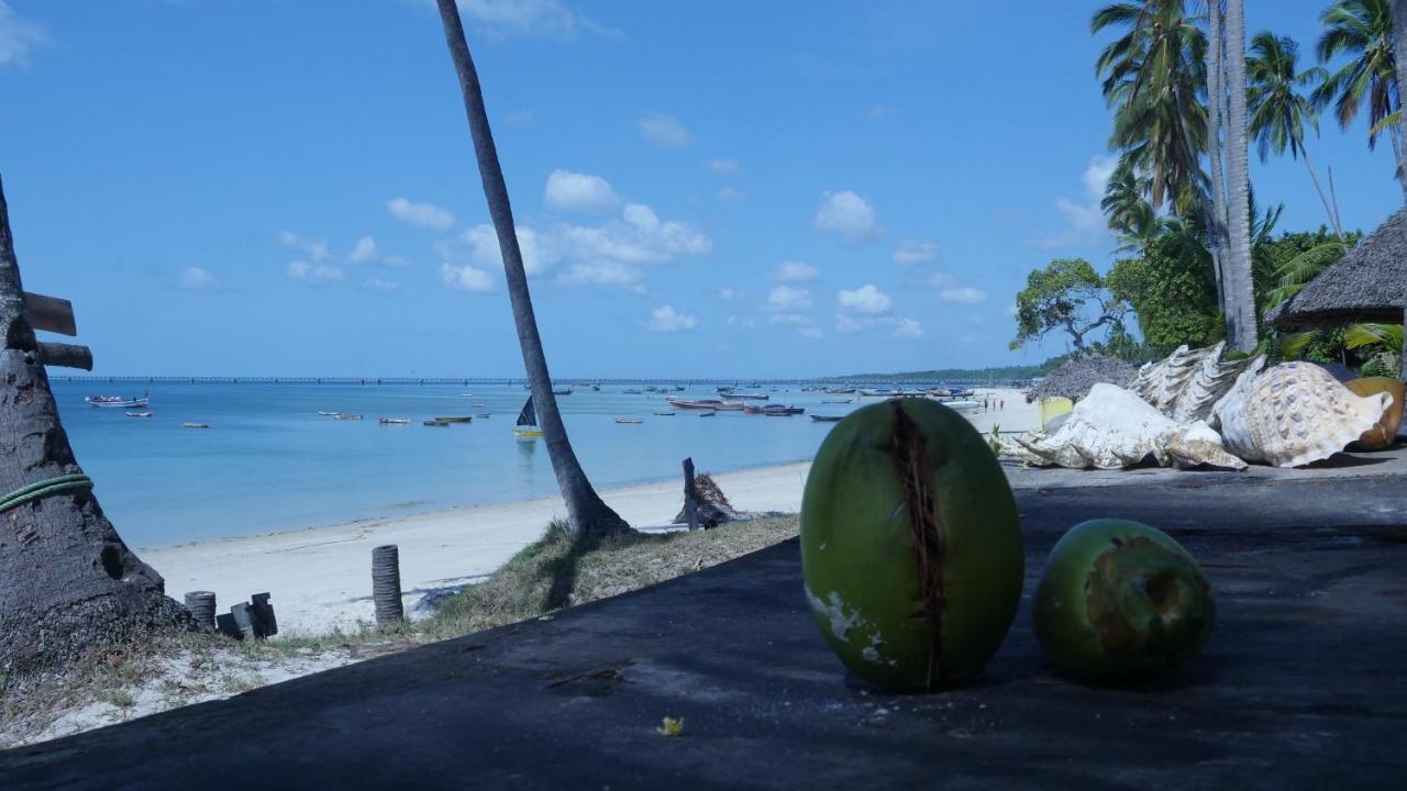Afro Whale Shark Safari Bed & Breakfast Kilindoni Exterior foto