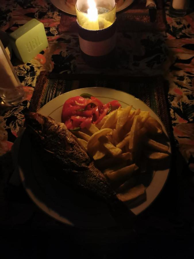 Afro Whale Shark Safari Bed & Breakfast Kilindoni Exterior foto