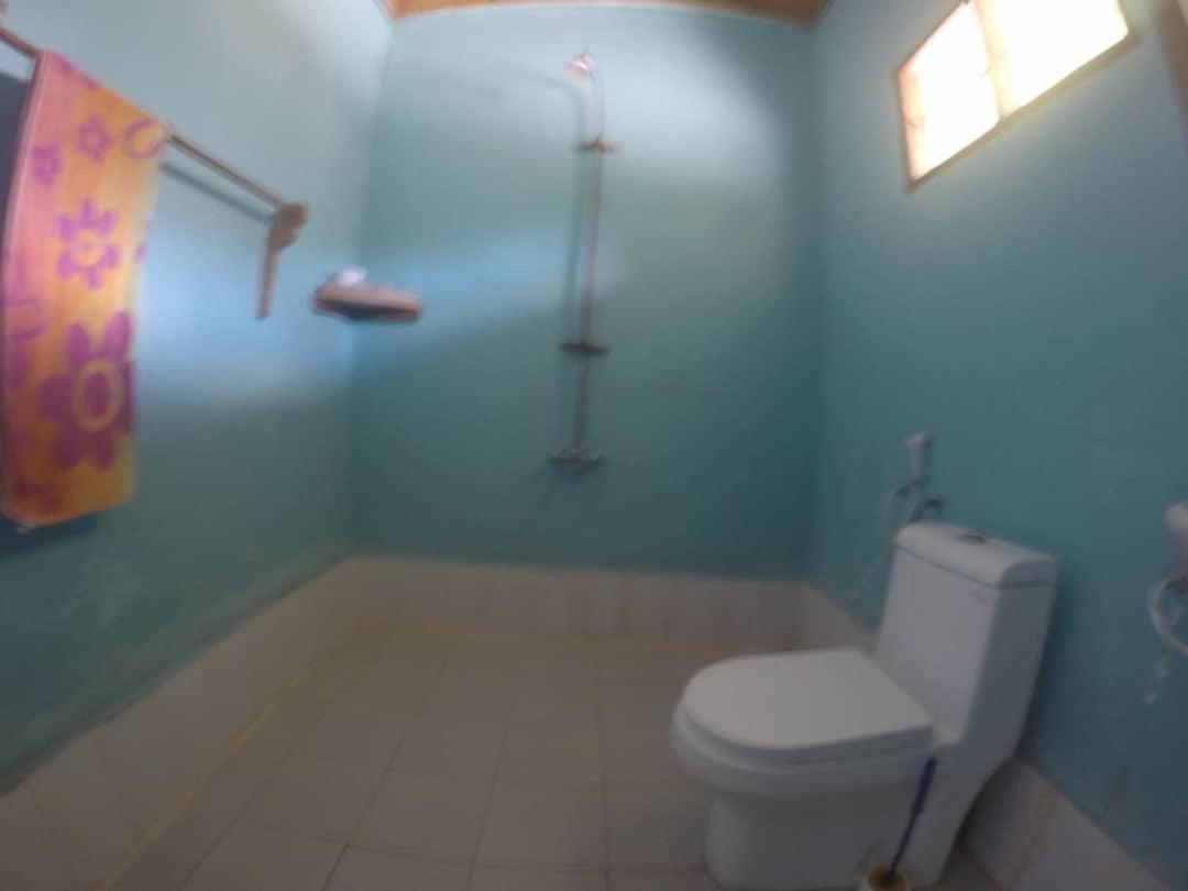 Afro Whale Shark Safari Bed & Breakfast Kilindoni Exterior foto