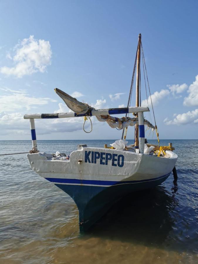 Afro Whale Shark Safari Bed & Breakfast Kilindoni Exterior foto