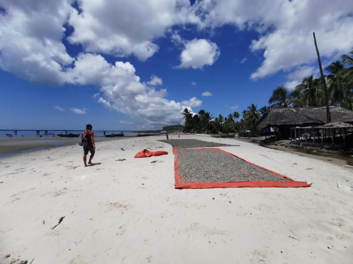 Afro Whale Shark Safari Bed & Breakfast Kilindoni Exterior foto