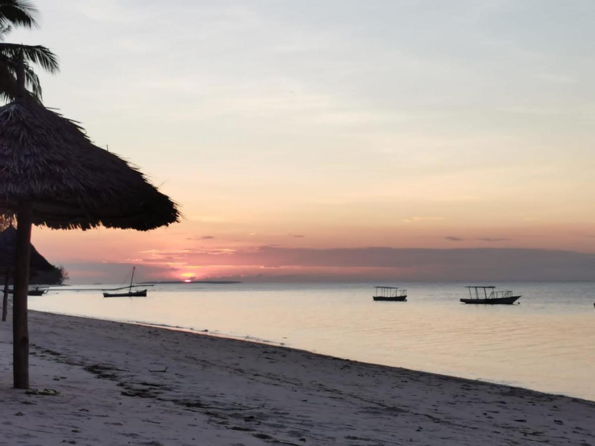Afro Whale Shark Safari Bed & Breakfast Kilindoni Exterior foto