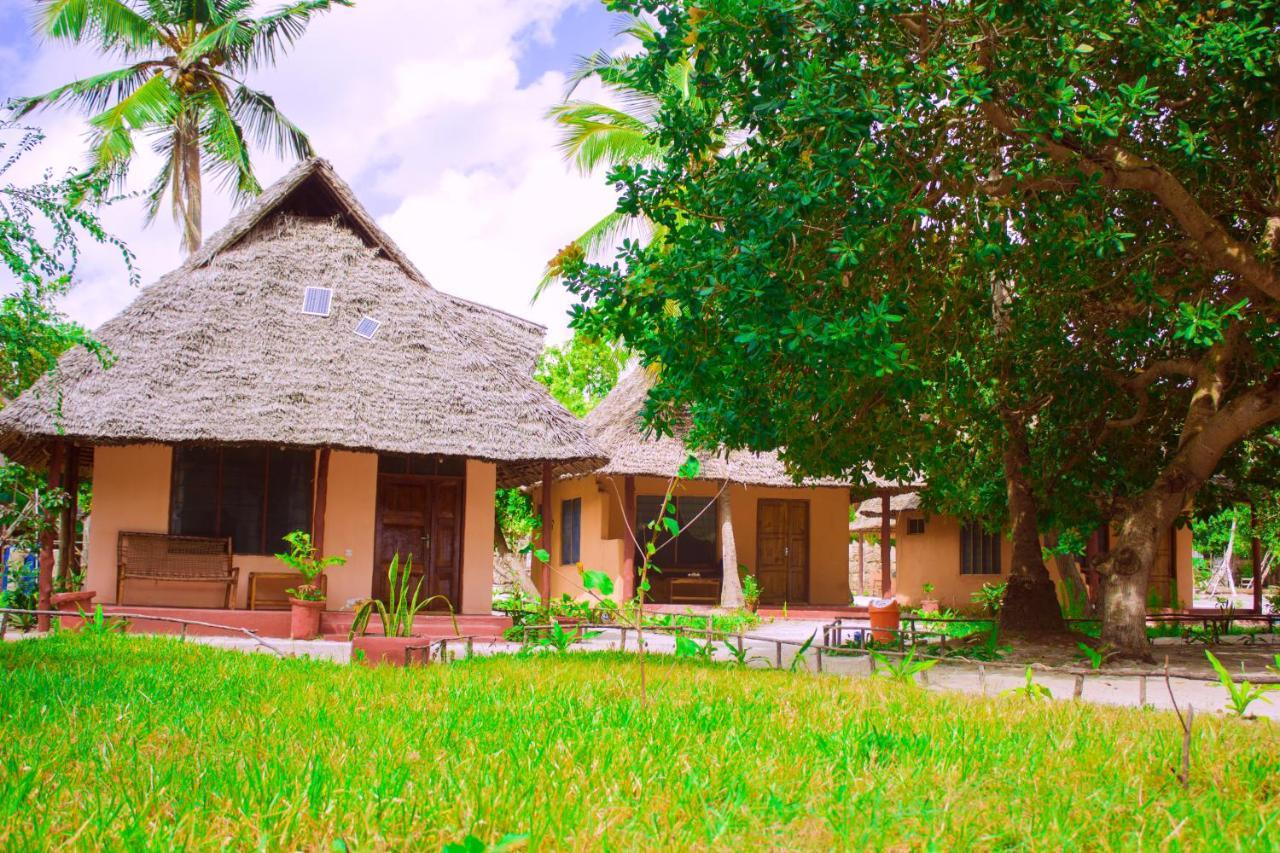 Afro Whale Shark Safari Bed & Breakfast Kilindoni Exterior foto