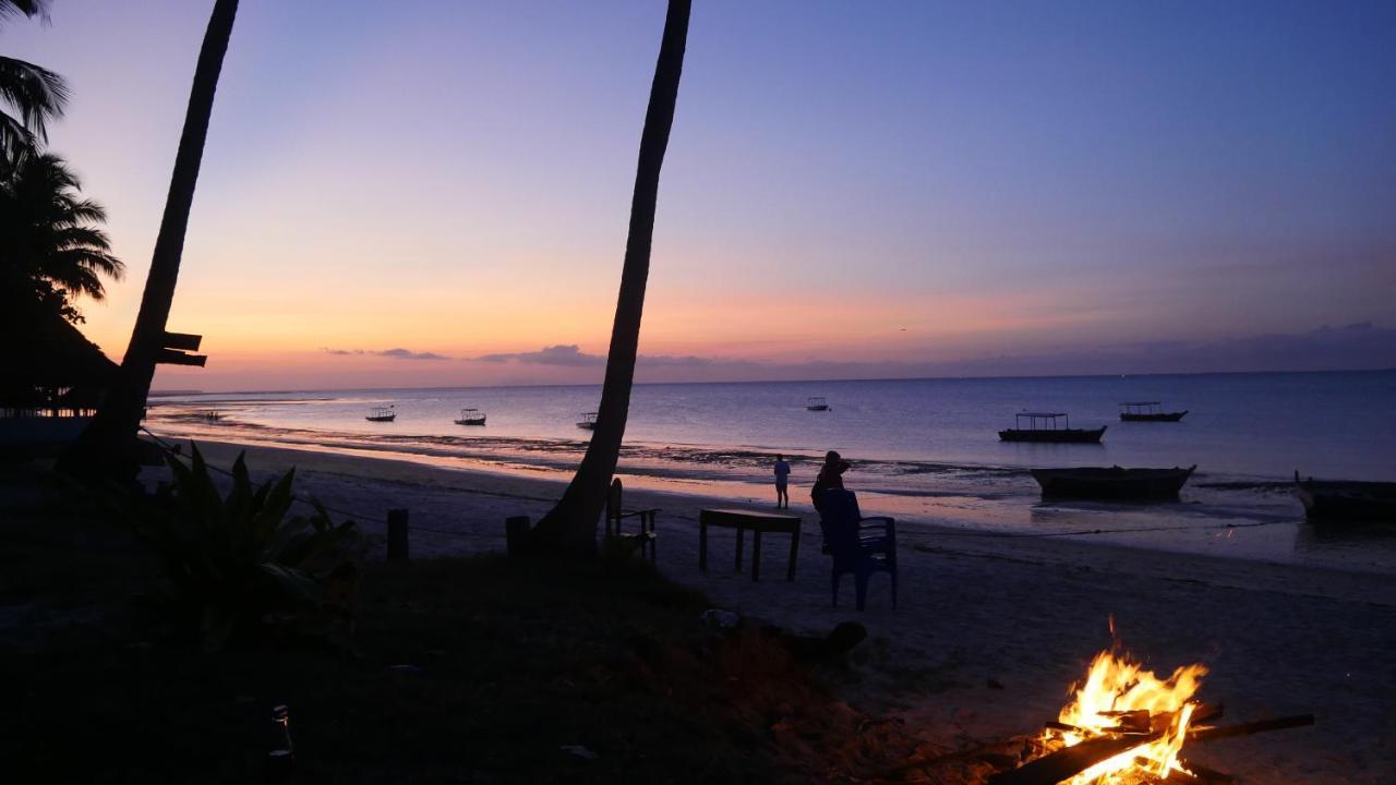 Afro Whale Shark Safari Bed & Breakfast Kilindoni Exterior foto
