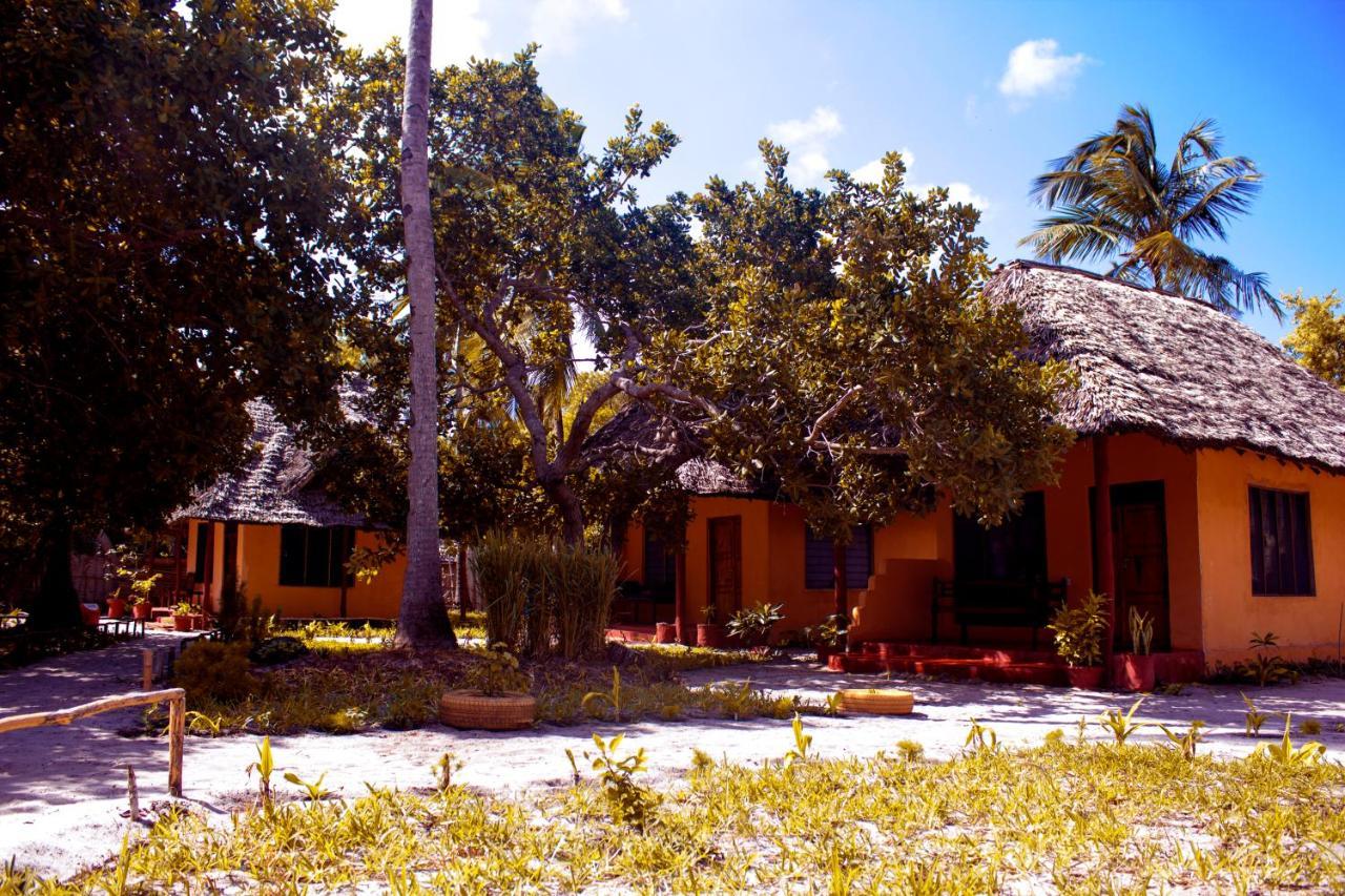 Afro Whale Shark Safari Bed & Breakfast Kilindoni Exterior foto