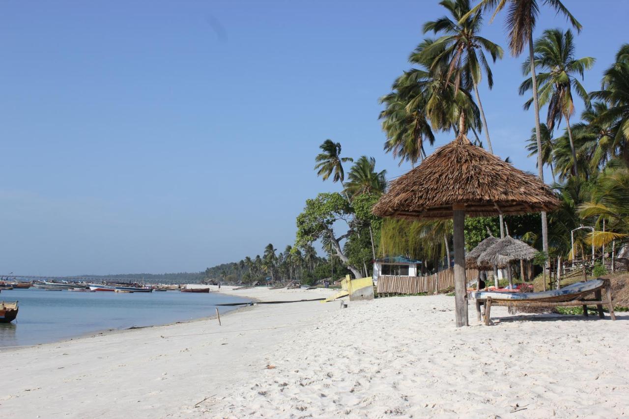 Afro Whale Shark Safari Bed & Breakfast Kilindoni Exterior foto