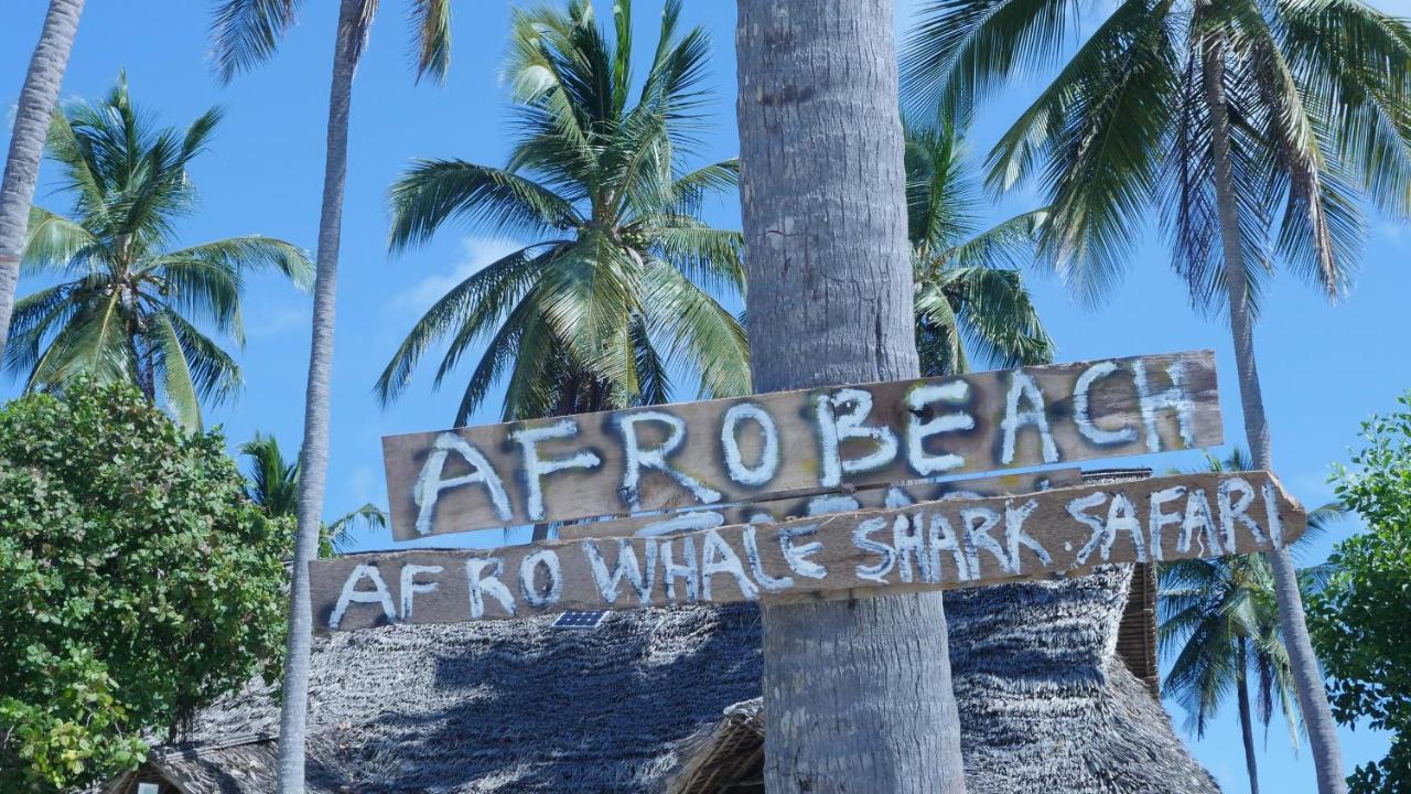 Afro Whale Shark Safari Bed & Breakfast Kilindoni Exterior foto