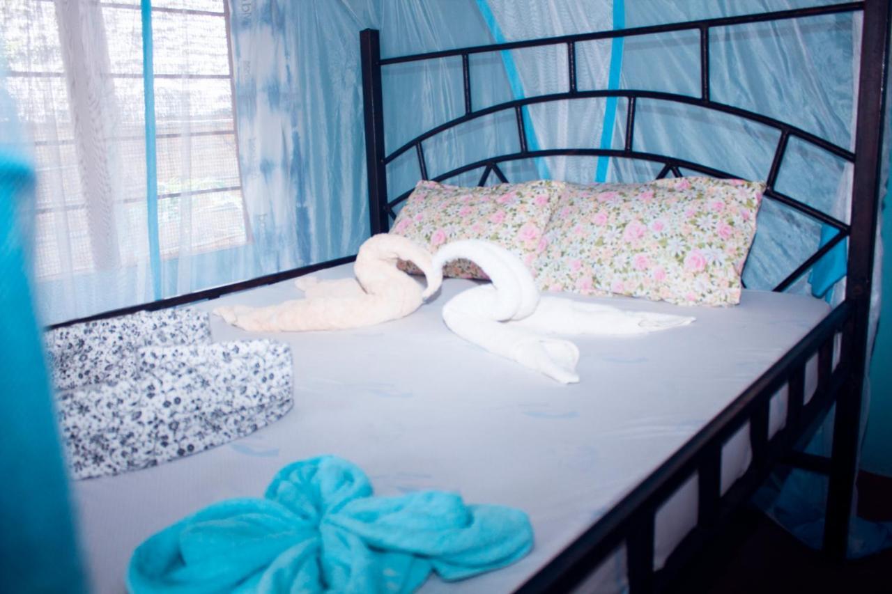 Afro Whale Shark Safari Bed & Breakfast Kilindoni Exterior foto