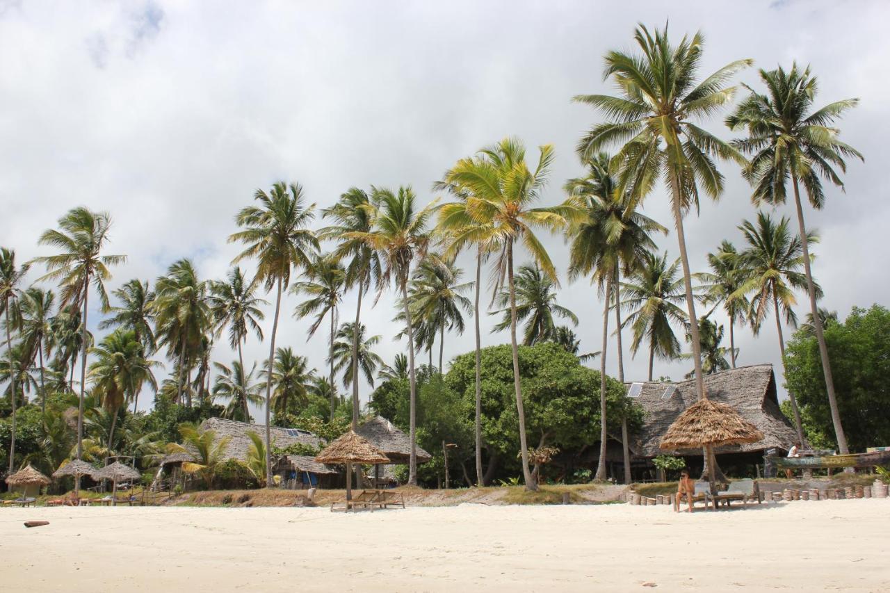 Afro Whale Shark Safari Bed & Breakfast Kilindoni Exterior foto