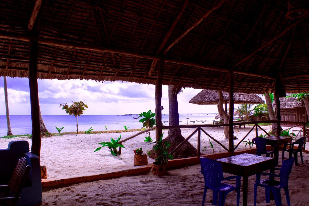 Afro Whale Shark Safari Bed & Breakfast Kilindoni Exterior foto