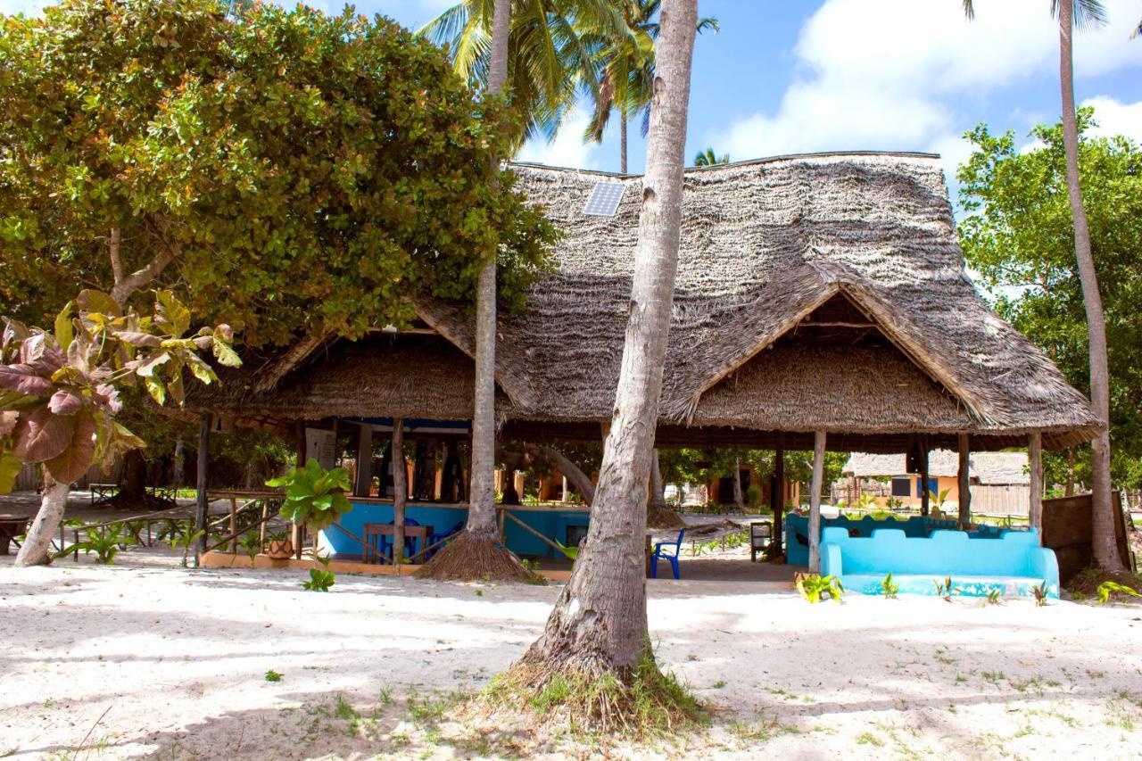 Afro Whale Shark Safari Bed & Breakfast Kilindoni Exterior foto