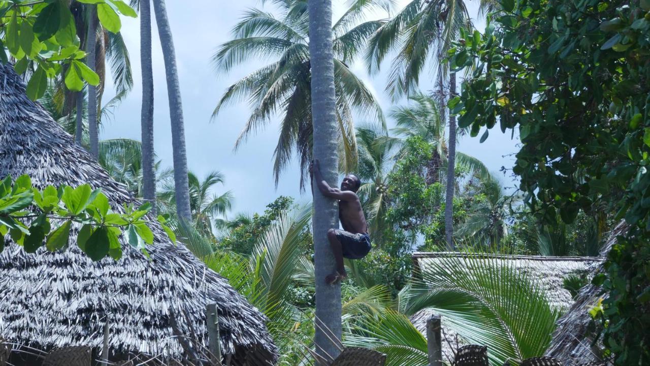 Afro Whale Shark Safari Bed & Breakfast Kilindoni Exterior foto