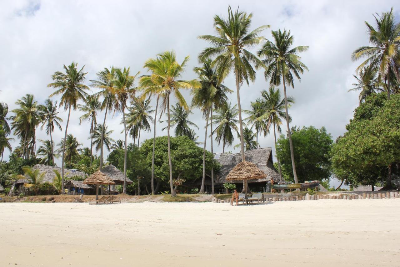 Afro Whale Shark Safari Bed & Breakfast Kilindoni Exterior foto